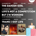 Trans* Filmtage Flyer